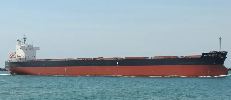 NEA ELPIS Bulk Carrier IMO 9527518 photo 2