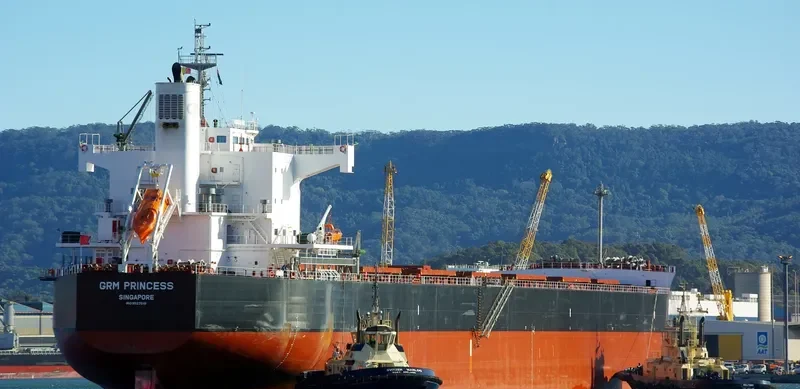 NEA ELPIS Bulk Carrier IMO 9527518 photo 3