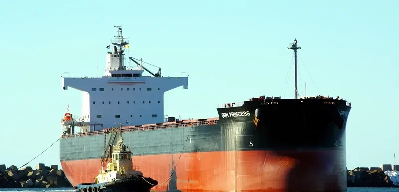 NEA ELPIS Bulk Carrier IMO 9527518 photo 4