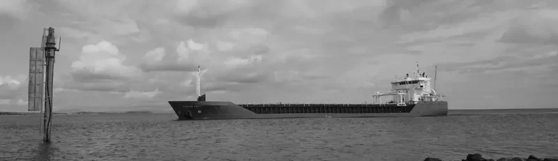 ARKLOW FIELD General Cargo IMO 9527673 photo 10
