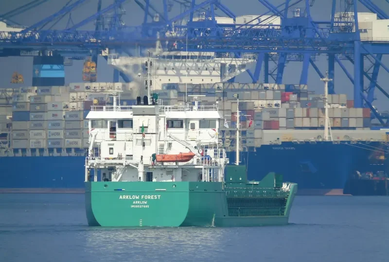 ARKLOW FOREST General Cargo IMO 9527685 photo 4