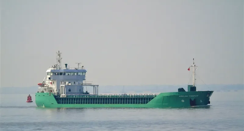 ARKLOW FOREST General Cargo IMO 9527685 photo 6