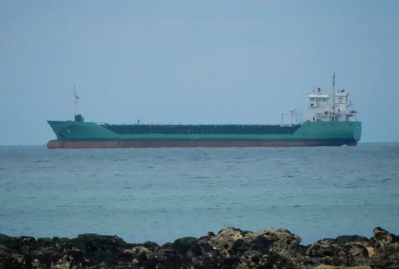ARKLOW FOREST General Cargo IMO 9527685 photo 8