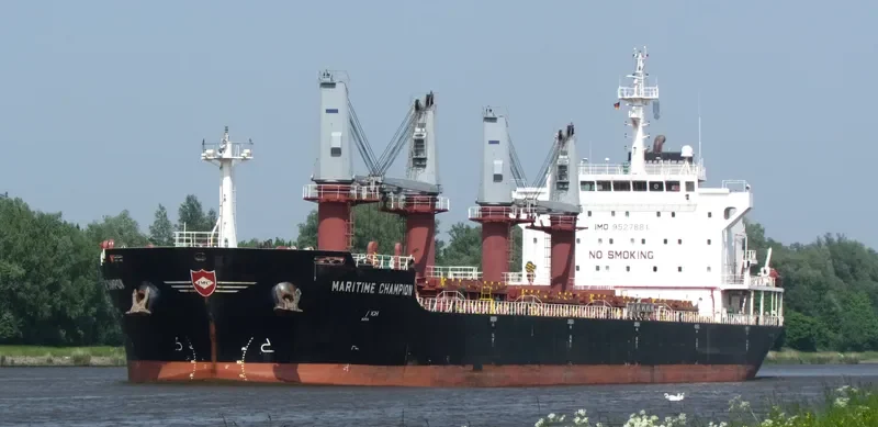 DEWI SARASWATI Bulk Carrier IMO 9527881 photo 2