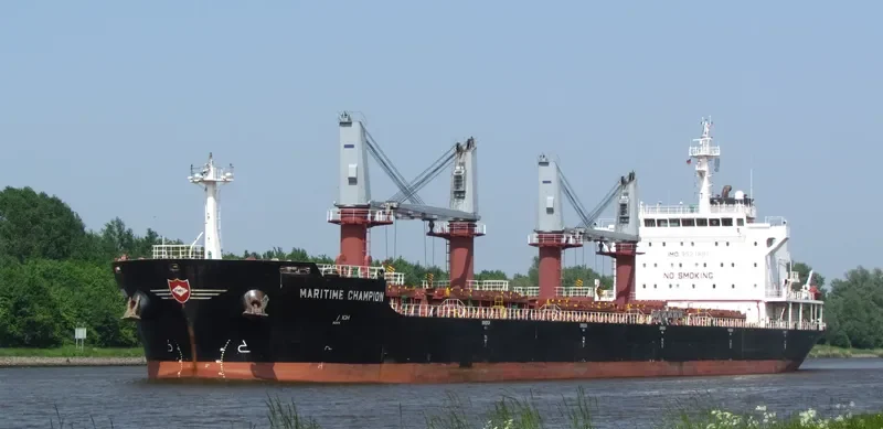 DEWI SARASWATI Bulk Carrier IMO 9527881 photo 3