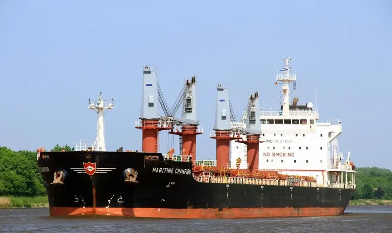 DEWI SARASWATI Bulk Carrier IMO 9527881 photo 5