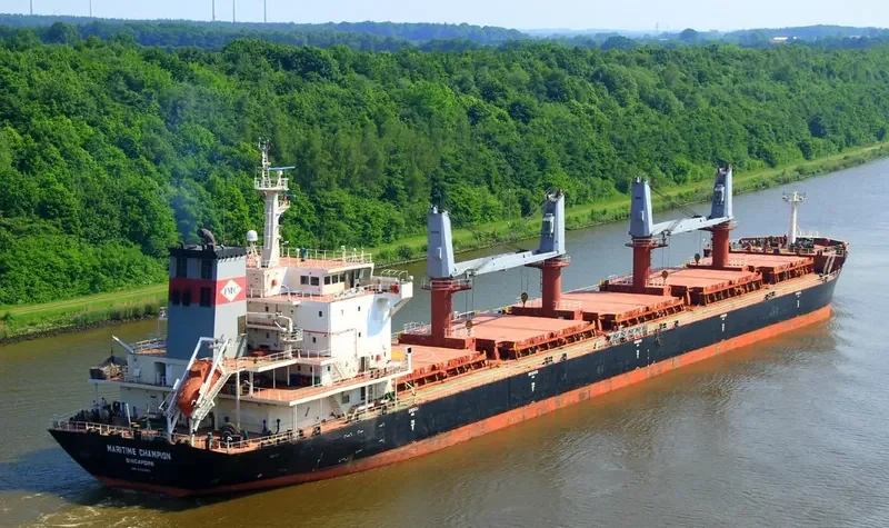 DEWI SARASWATI Bulk Carrier IMO 9527881 photo 8