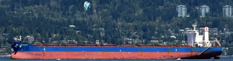 ALPHA BRAVERY Bulk Carrier IMO 9527910 photo 2