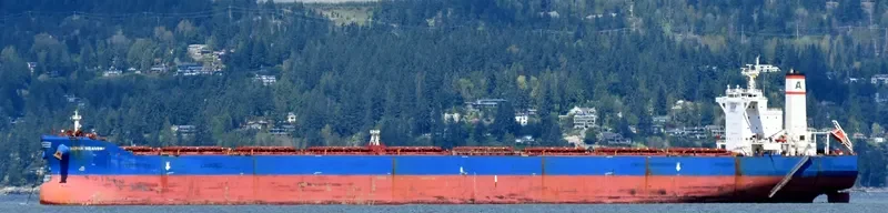 ALPHA BRAVERY Bulk Carrier IMO 9527910 photo 5