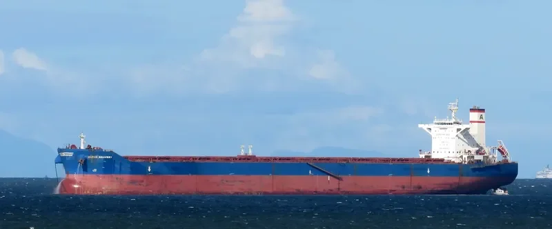 ALPHA BRAVERY Bulk Carrier IMO 9527910 photo 6