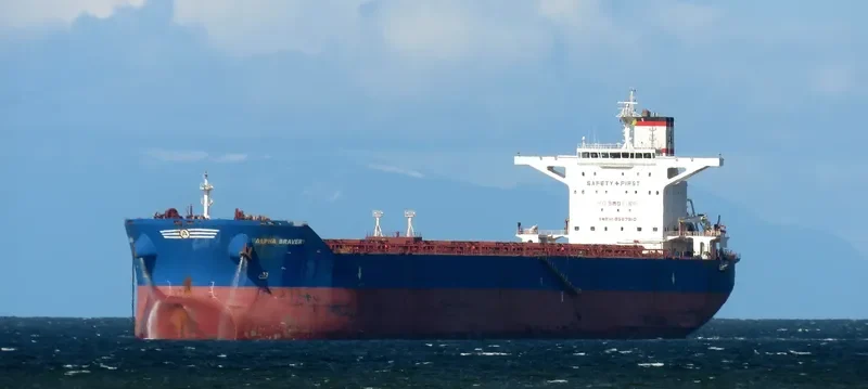 ALPHA BRAVERY Bulk Carrier IMO 9527910 photo 7