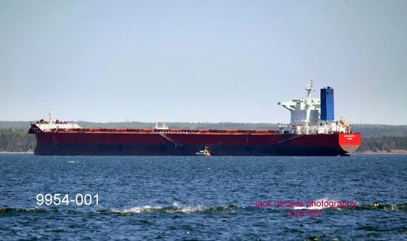CAPE ELEKTRA Bulk Carrier IMO 9527922 photo 9