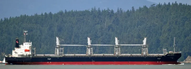SANTA SERENA General Cargo IMO 9527934 photo 5