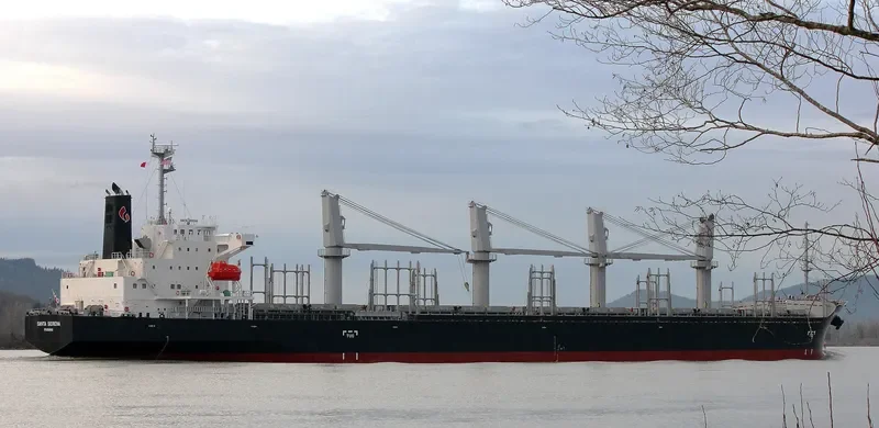 SANTA SERENA General Cargo IMO 9527934 photo 6