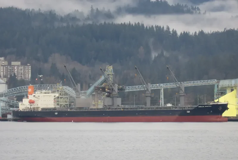 MIMITSU General Cargo IMO 9527958 photo 6