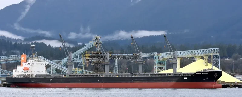 MIMITSU General Cargo IMO 9527958 photo 9