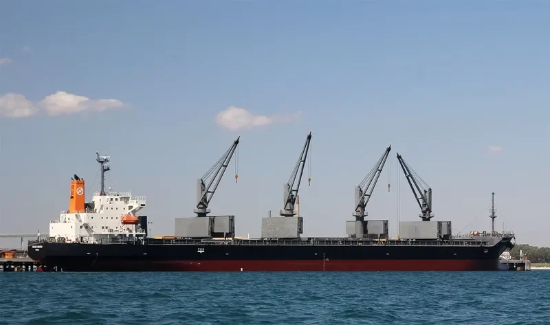 MIMITSU General Cargo IMO 9527958 photo 10