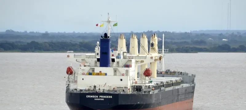 CRIMSON PRINCESS Bulk Carrier IMO 9527960 photo 2