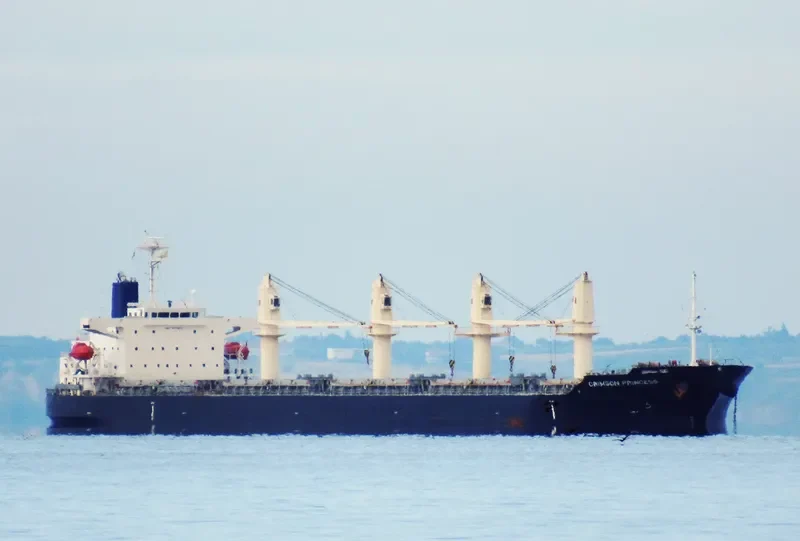 CRIMSON PRINCESS Bulk Carrier IMO 9527960 photo 4