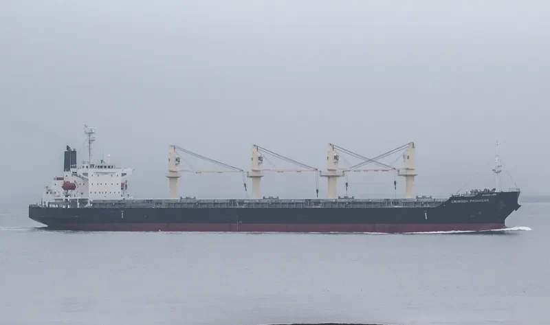 CRIMSON PRINCESS Bulk Carrier IMO 9527960 photo 7