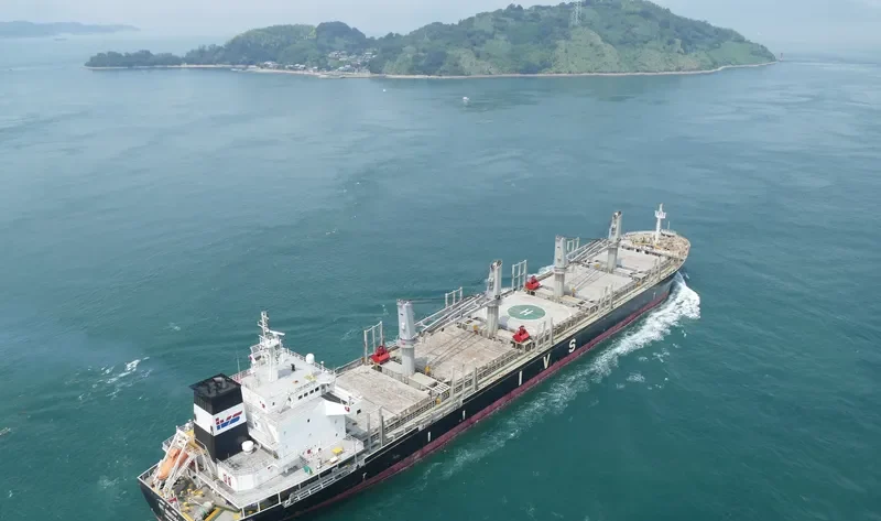 IVS SENTOSA Bulk Carrier IMO 9528005