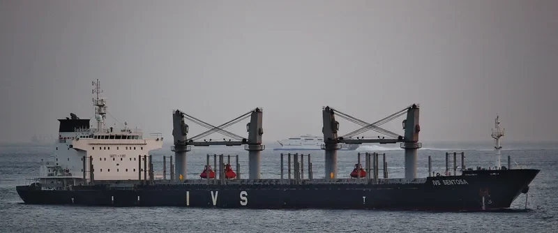 IVS SENTOSA Bulk Carrier IMO 9528005 photo 5