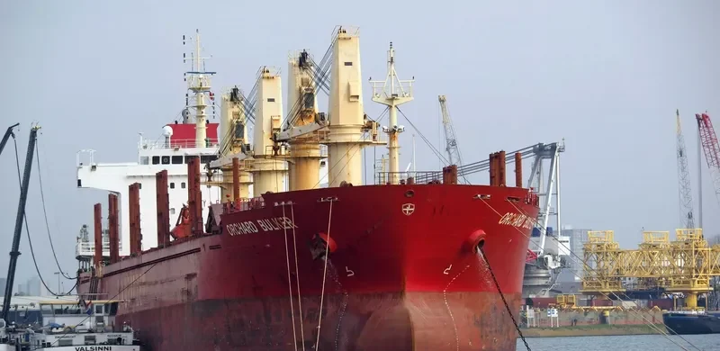 ORCHARD BULKER Bulk Carrier IMO 9528017 photo 3