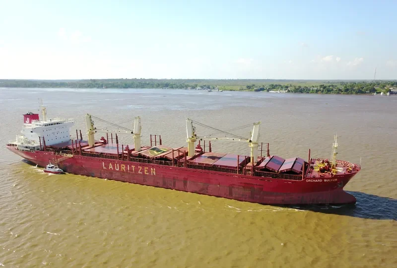 ORCHARD BULKER Bulk Carrier IMO 9528017 photo 8