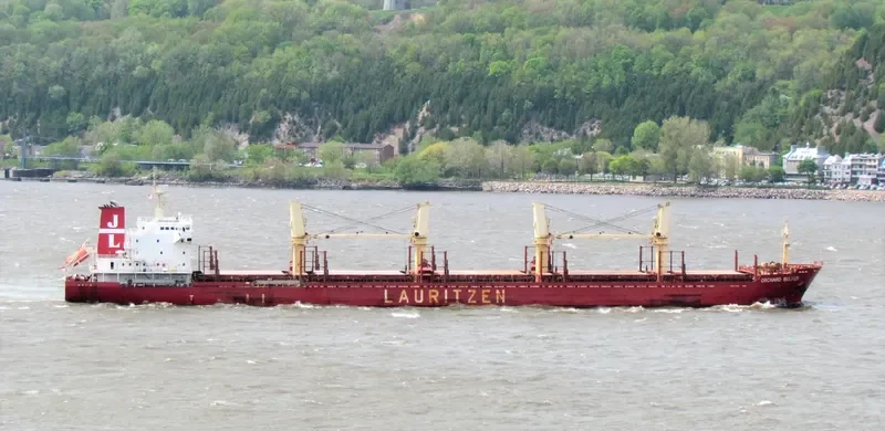 ORCHARD BULKER Bulk Carrier IMO 9528017 photo 10