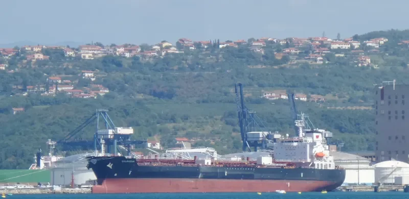 DALMACIJA Tanker IMO 9528134 photo 9