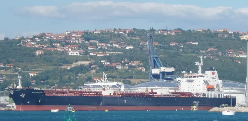 DALMACIJA Tanker IMO 9528134 photo 10