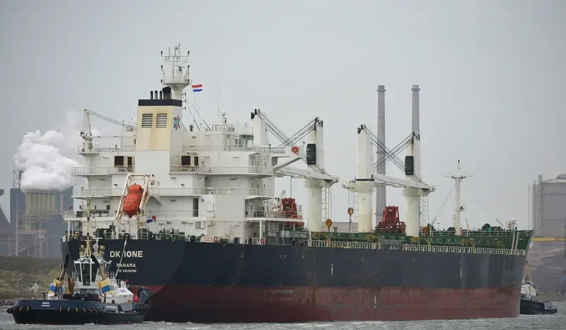 DK IONE Bulk Carrier IMO 9528158 photo 4