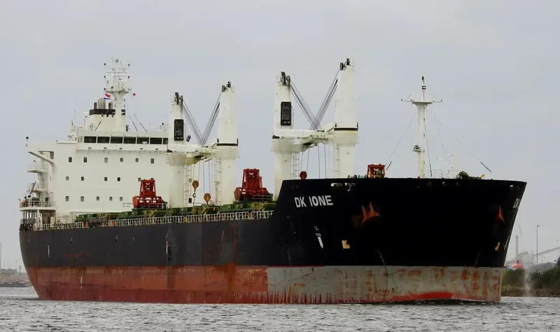DK IONE Bulk Carrier IMO 9528158 photo 5