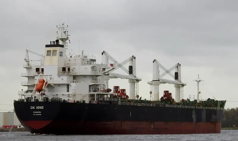 DK IONE Bulk Carrier IMO 9528158 photo 6