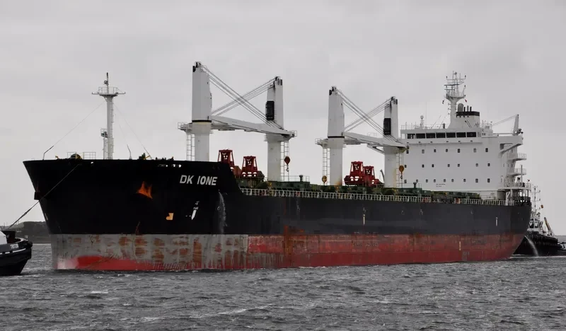 DK IONE Bulk Carrier IMO 9528158 photo 8