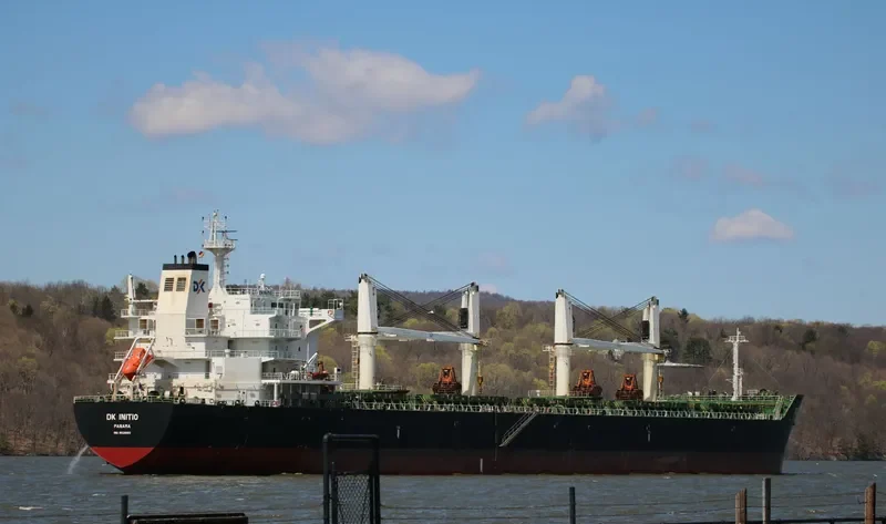 DK INITIO Bulk Carrier IMO 9528160 photo 3