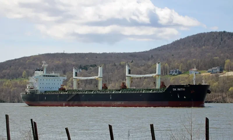 DK INITIO Bulk Carrier IMO 9528160 photo 4