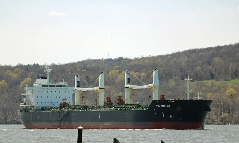 DK INITIO Bulk Carrier IMO 9528160 photo 5