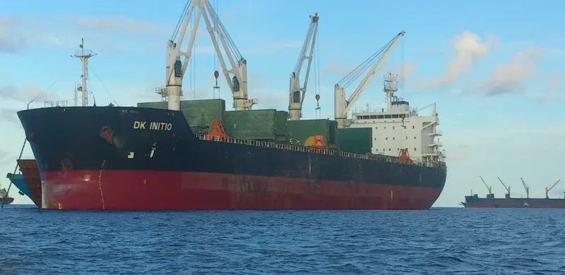 DK INITIO Bulk Carrier IMO 9528160 photo 6