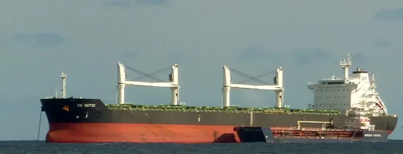 DK INITIO Bulk Carrier IMO 9528160 photo 7