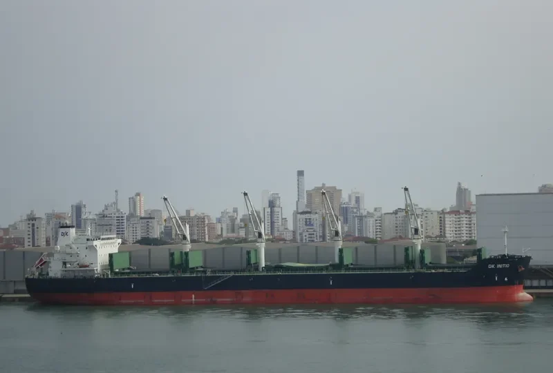 DK INITIO Bulk Carrier IMO 9528160 photo 8