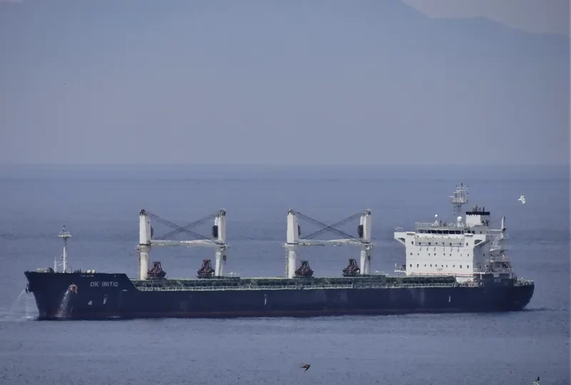 DK INITIO Bulk Carrier IMO 9528160 photo 10