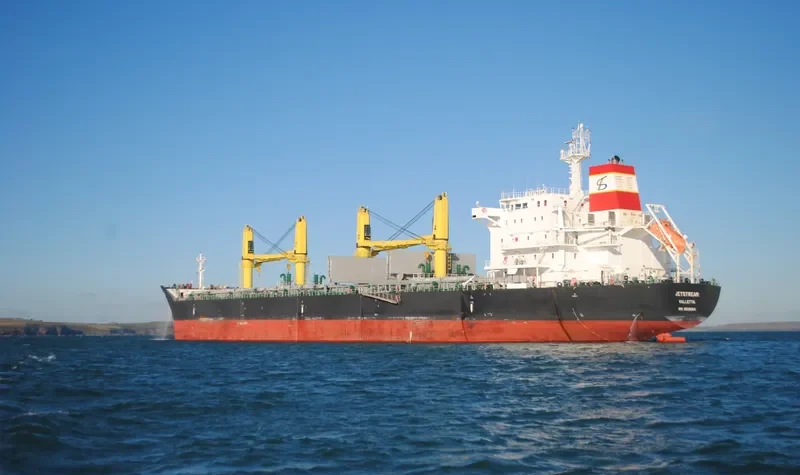 JETSTREAM Bulk Carrier IMO 9528184 photo 8