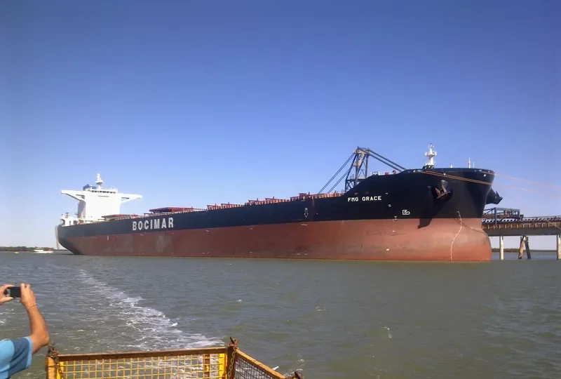 MINERAL CHARLIE Bulk Carrier IMO 9528196