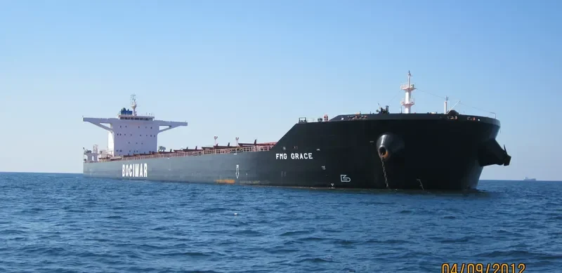MINERAL CHARLIE Bulk Carrier IMO 9528196 photo 3