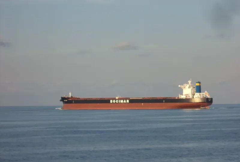 MINERAL CHARLIE Bulk Carrier IMO 9528196 photo 4