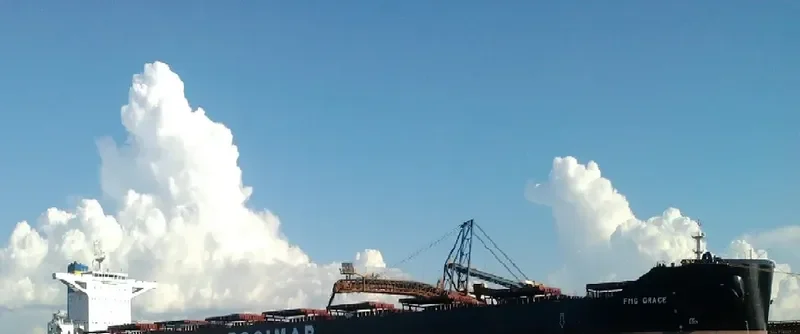 MINERAL CHARLIE Bulk Carrier IMO 9528196 photo 6