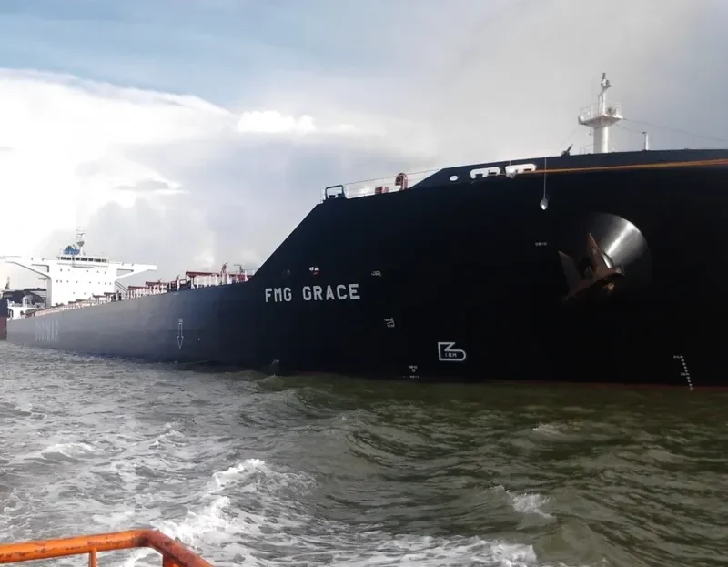 MINERAL CHARLIE Bulk Carrier IMO 9528196 photo 7