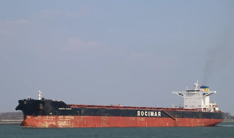 MINERAL CHARLIE Bulk Carrier IMO 9528196 photo 8