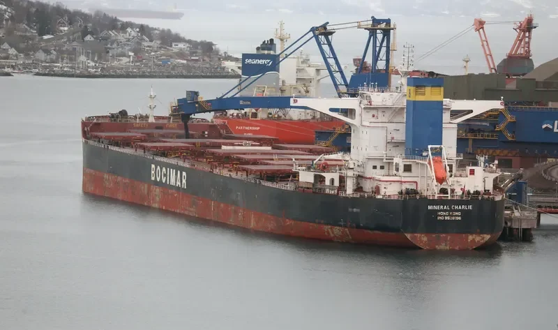 MINERAL CHARLIE Bulk Carrier IMO 9528196 photo 10